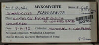 Image Associated With the Occurence